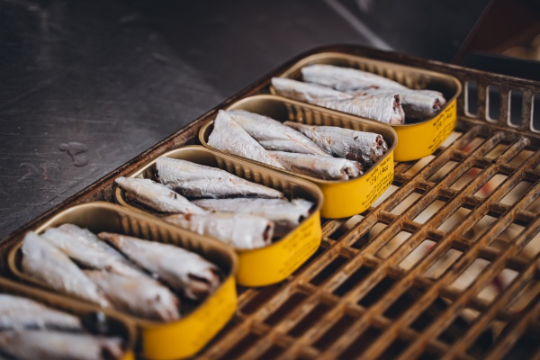 Canned Sardines
